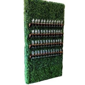 Boxwood Hedge Champagne Wall