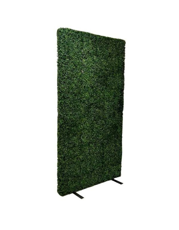 Boxwood Hedge
